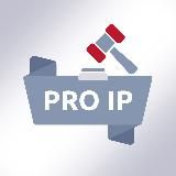Pro IP