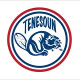 Tenesoun