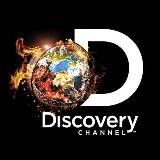 DiscoveryTm