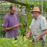 Garden Pàmies - Plantas - Autosuficiencia - Pau Pamies - Libertad