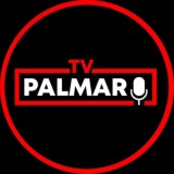 PalmaroTV | Содержанки | холостяк | сериалы