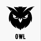 owl 🦉