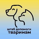 Покинуті та загублені тварини Дніпро | Брошенные животные Днепр