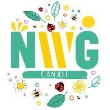 CANALE NWG 🇮🇹