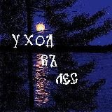 Уход в лес 🍄