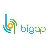 ВigAp price