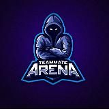 Teammate Arena | Компьютерный клуб