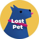 Lost Pet — Пропала собака — Найдена кошка