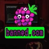 BANNED project