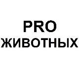 PRO Животных | Животные