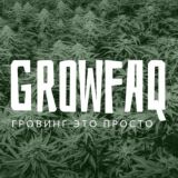 Grow FAQ