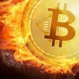 Cripto-Forex Club