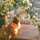 starexx — aleXWriteS | Старекс пишет... 📖