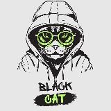 Black Cat | Darknet Cracked PC Software