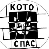 КОТОСПАС. Кошки реновации. МОСКВА