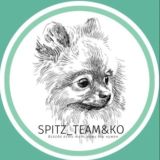 Spitz_team&Ko ШПИЦ Тим