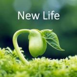 NewLife