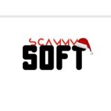 SoftScammm переходник