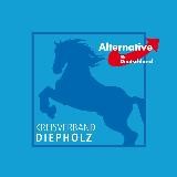 💙 AfD Kreisverband Diepholz