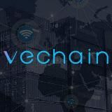 VeChain — Русскоязычное комьюнити