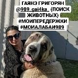 @989_gai4ka_ (ПОИСК ЖИВОТНЫХ) ЕСЛИ ВЫ ИЩЕТЕ И Я ОБ ЭТОМ НЕ ЗНАЮ, ЗНАЧИТ ВЫ ПЛОХО ИЩЕТЕ. ГАЯНЭ