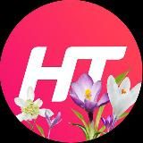 Телеканал НТ | Новгородская область