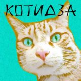 Котидза