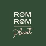 RomRom Plant