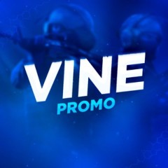 VinePromo | Чат для ПромоБаяр