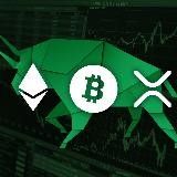 PRO_Crypto&Stocks