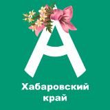 Центр развития движения "Абилимпикс" Хабаровского края