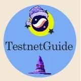 Testnet Guide