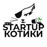 Startup Kotiki