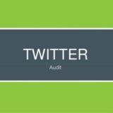 Twitter Audit Services