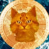 😸 КриптоКот - CryptoCot 🎁💸 Раздачи и Скидки на криптобиржах Кот 😸