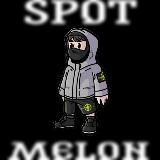 💎SPOT MELON💎