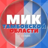 Молодёжная избирательная комиссия Тамбовской области