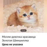 Життя