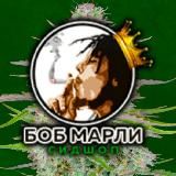 Bob Marley Seeds