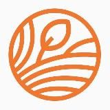 Betalife — рассеянный склероз. Полезные советы и статьи от медэкспертов