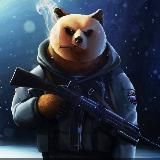 Полярная Zвезда