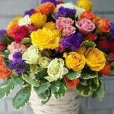 ГУЛЛАР ИФОРИ🌺🌺🍃