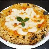 PIZZA NETWORK🍕