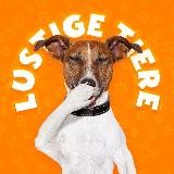 LUSTIGE TIERE