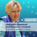 Моя тревожная собака