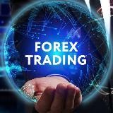 Forex best traders