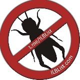 Insekten Lebensmittel Blacklist