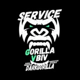 SERVISE GORILLA VBIV ™