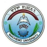 Wachamo University