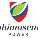 Bhimasena Power Indonesia Karir